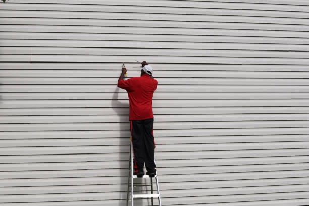 Affordable Siding Repair and Maintenance Services in Bowling Green, KY